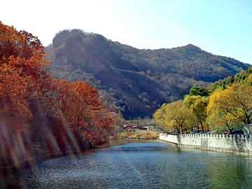 澳门今晚一肖必中特，大鹏背景